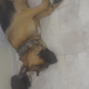 Meet your Posher, Antonio